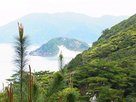 ハミャ島 与路島の属島 奄美が好き