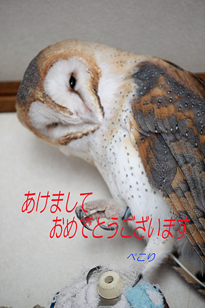 mame H23.1.1