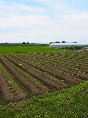 R0014668