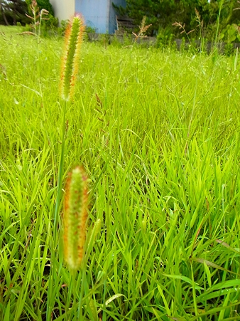 R0015543