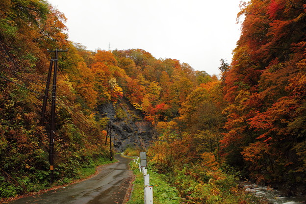 葛根田渓谷 滝ノ上温泉付近の紅葉 １ 写真共有サイト フォト蔵