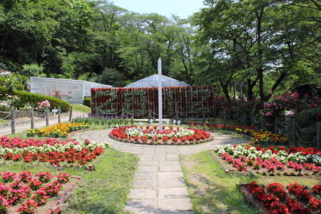 花巻温泉バラ園・8
