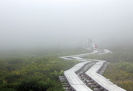 20100801-10霧