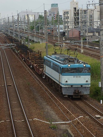 DSCN3824