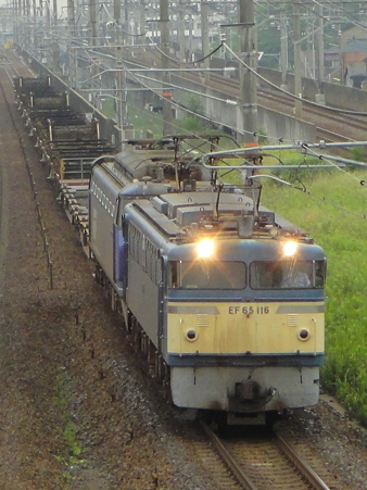 DSC00414