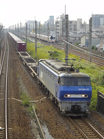 DSC02554