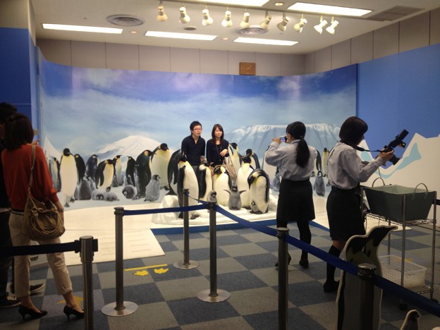 名古屋港水族館_318：ペンギン（人形）との記念写真撮影コーナー