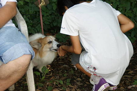 DSC03061