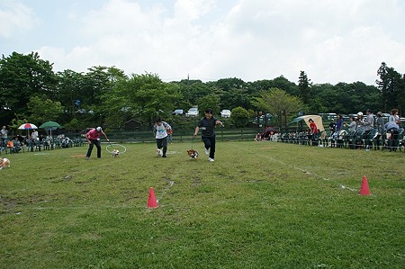 DSC09620