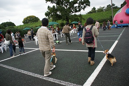 DSC04487