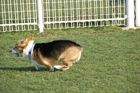 DSC06572