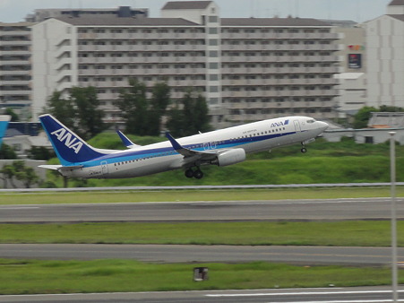 ANA機