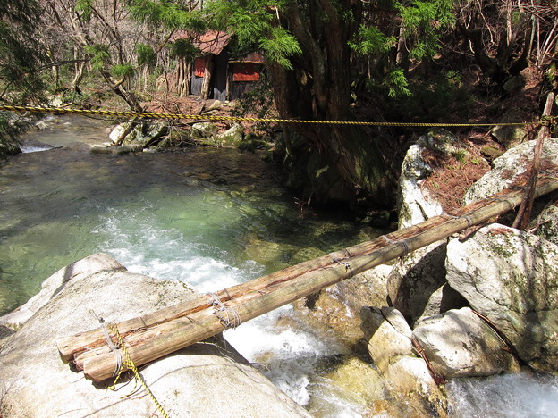 武奈ヶ岳 ぶながだけ 丸木橋 写真共有サイト フォト蔵