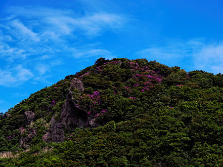 UZ120473_DxO_raw