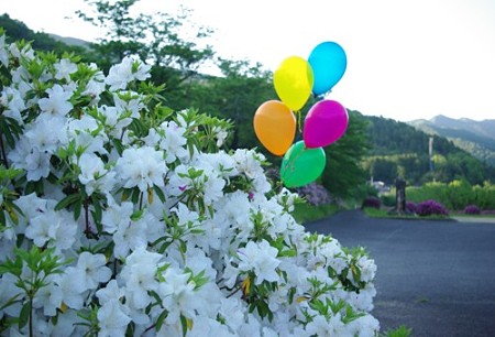 IMGP0962_0506