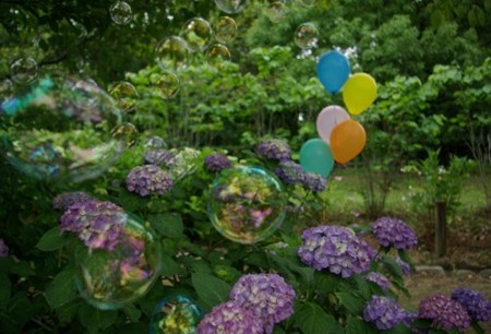 IMGP0400_0617