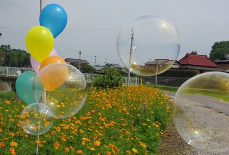 IMGP9887_0731