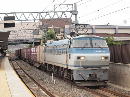 Ef66サメ貨物 東海道本線島本駅