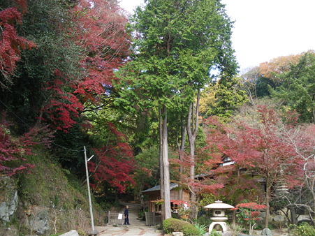 IMGP7281