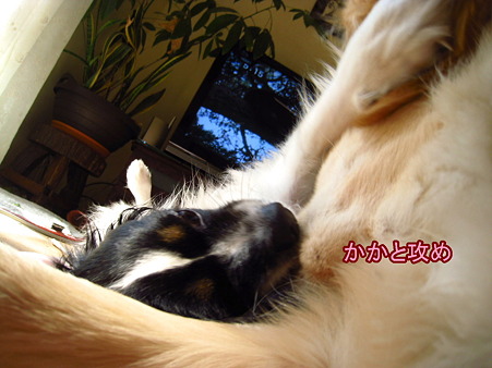 PIC00003