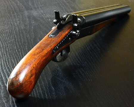 ダブルバレルピストル (2)