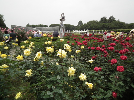 DSCF0194