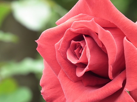 DSCF0053