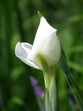 DSCF0160