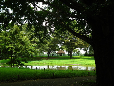 昭和記念公園 142