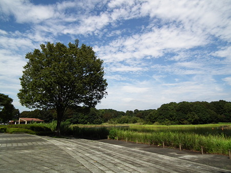 昭和記念公園 040