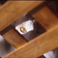 Photos: 覗く猫（ｗ）
