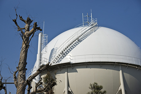 tokiwadai090411021