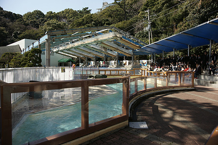 katurahama110311016