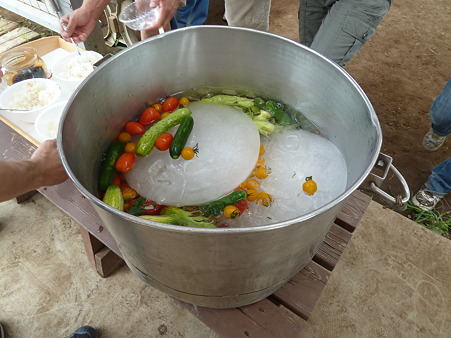 P1010102