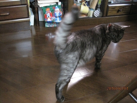 IMG_8432jl