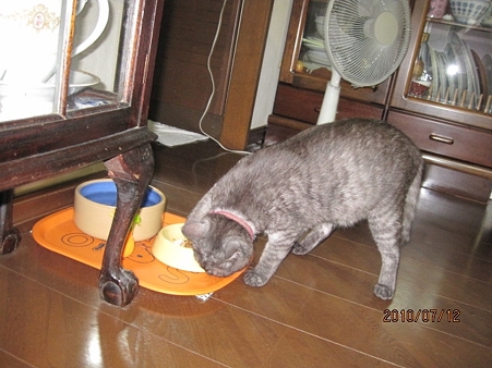 IMG_0498jl