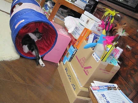 IMG_0528jl