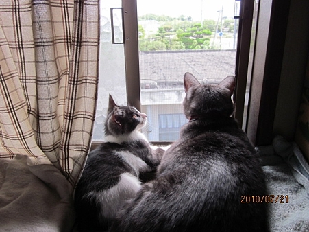 IMG_0605jl