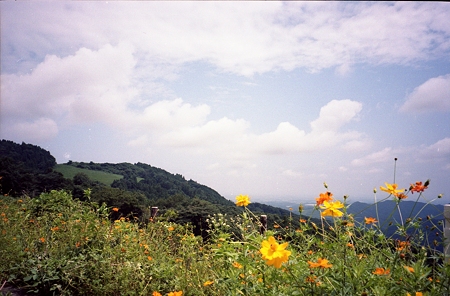 201108-07-031PZ