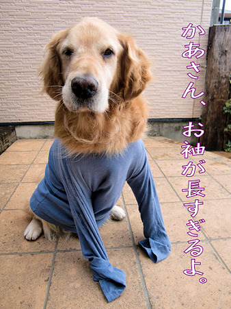 無理して平常を装うタロウ。