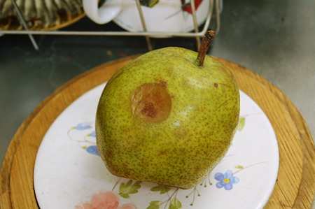 2010年12月06日_DSC_0362