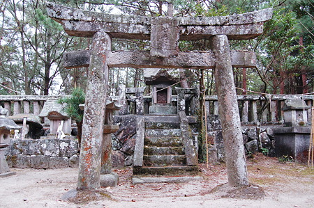 2011年05月03日_DSC_0500