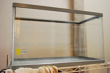 現在使用中の水槽です。