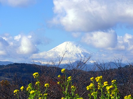 富士山