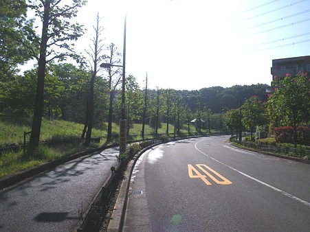 100521 真光寺公園