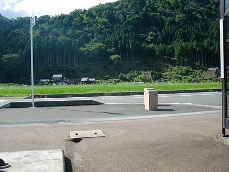 CIMG0377 CIMG0377