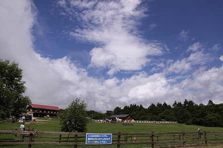 12 まきば公園