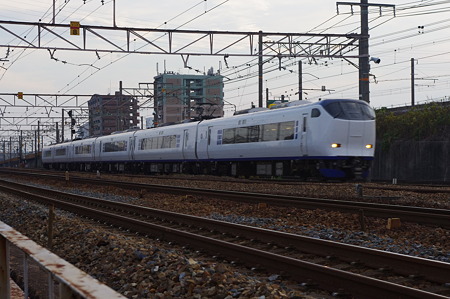 IMGP5619