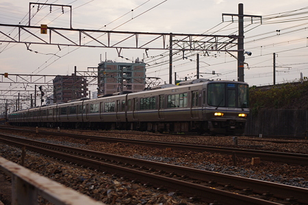 IMGP5636