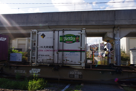 IMGP6244